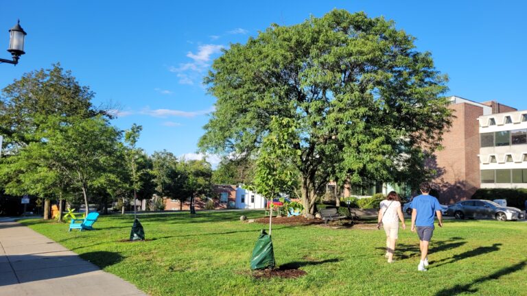 Newton Centre Village Green